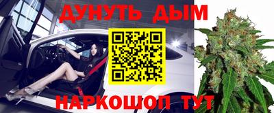 спиды Славгород