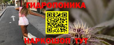спиды Славгород