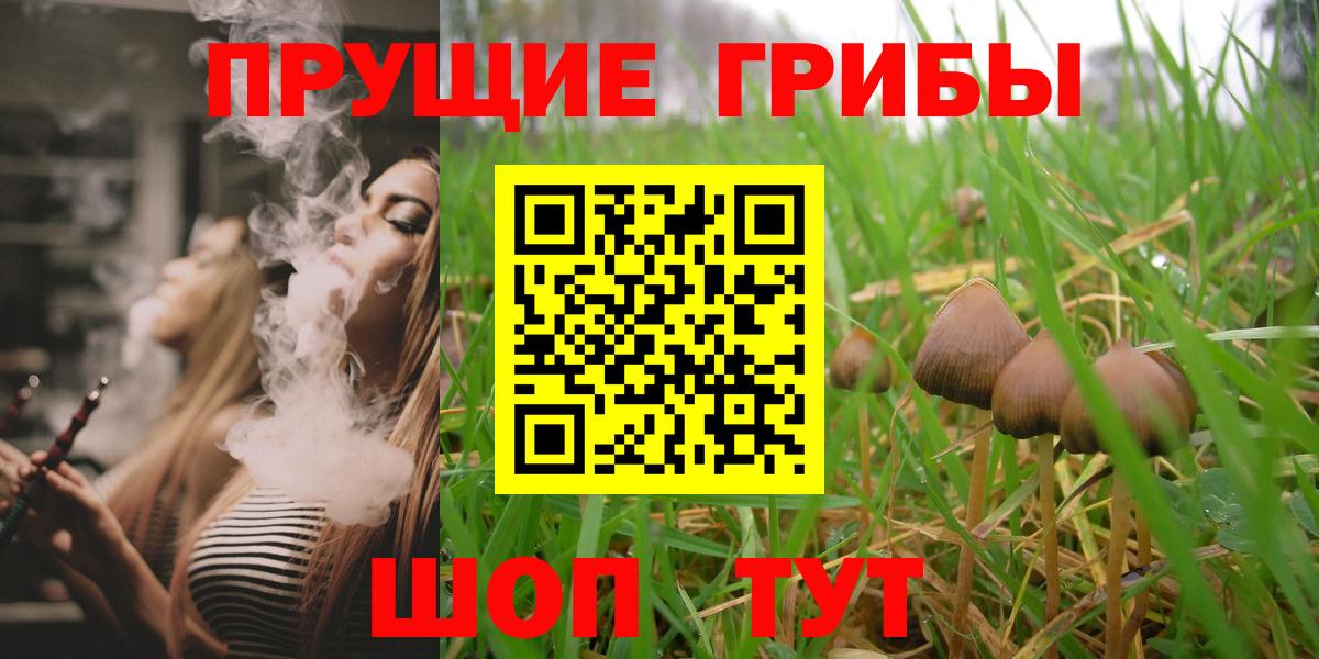 Галлюциногенные грибы Psilocybine cubensis Артёмовский