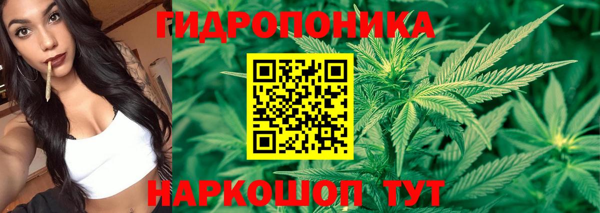 Артёмовский  Конопля Amnesia  Вход с VPN  Канабис конопля  Каннабис план  Канабис план 